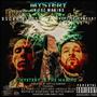 Mystery In The Making (Explicit)