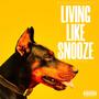 Living Like Snooze (Explicit)