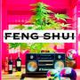 FENG SHUI (Explicit)