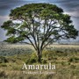 Amarula (feat. Peter De Groot)