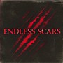 Endless Scars