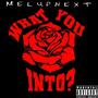 What You Into? (Explicit)