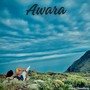 Awara