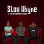 SLOW WHYNE (feat. DJ TONY & CEEKULL) [Explicit]