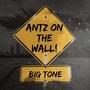 ANTZ on the WALL! (Explicit)