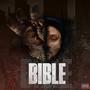 Bible (Explicit)