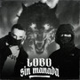 Lobo Sin Manada (Explicit)