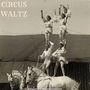 Circus Waltz