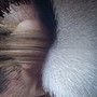 To Further Stillness