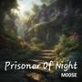 Prisoner Of Night