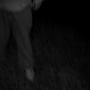 B4T4 (Explicit)