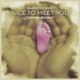 Nice To Meet You (feat. NATHAN BRUMLEY) [Acoustic]