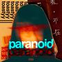 Paranoid (Explicit)