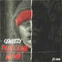 Pain Gone Numb (Explicit)