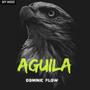 Aguila