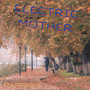 Electric Mother