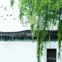 你说