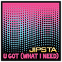 U Got (What I Need) [Explicit]