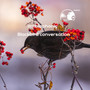Blackbird conversation
