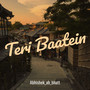 Teri Baatein