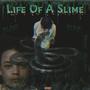 Life Of A Slime (Explicit)