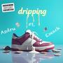 Dripping (feat. ESEACH) [Explicit]