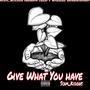 Give what you Have