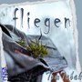 Fliegen (Explicit)