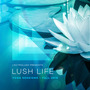 Lush Life: Yoga Sessions (Fall 2018 Continuous Mix)