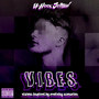 V.I.B.E.S. (Explicit)