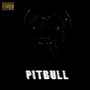 Pitbull