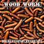 Wood Worm (feat. SoloDoeloe & Samo) [Explicit]