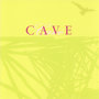 Cave