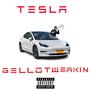 TESLA (Explicit)