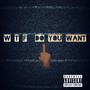 WTF Do You Want (Explicit)