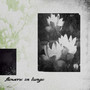 flowers in lungs