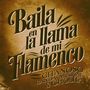 Baila en la Llama de Mi Flamenco