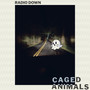 Radio Down