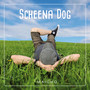 Scheena Dog