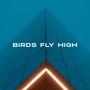 Birds Fly High (Slowed) [Explicit]