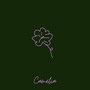 Camélia