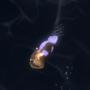 Bioluminescent (feat. xBatxXxgirlxXxboo!)
