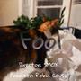 Fool (feat. Robin Cause)