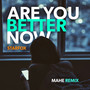 Are You Better Now (MAHE Remix)