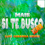 Si Te Busco (Remix)