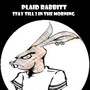 Plaid Rabbitt Stay Till 2 in the Morning