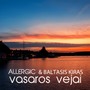 Vasaros Vėjai