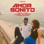 Amor Bonito (feat. Moikan, J King, El Varon, Jay Dreamer, L White & Juni Star)