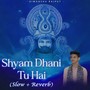 Shyam Dhani Tu Hai (Slowed & Reverb)