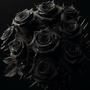 Black Roses (Explicit)